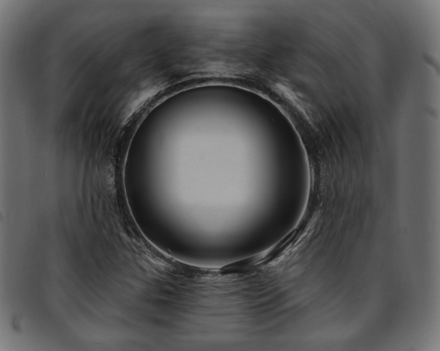 X0000095531307200712141453