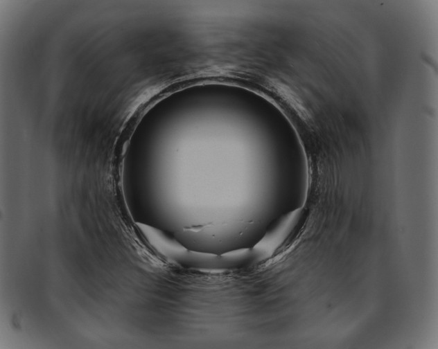 X0000095531308200712141453