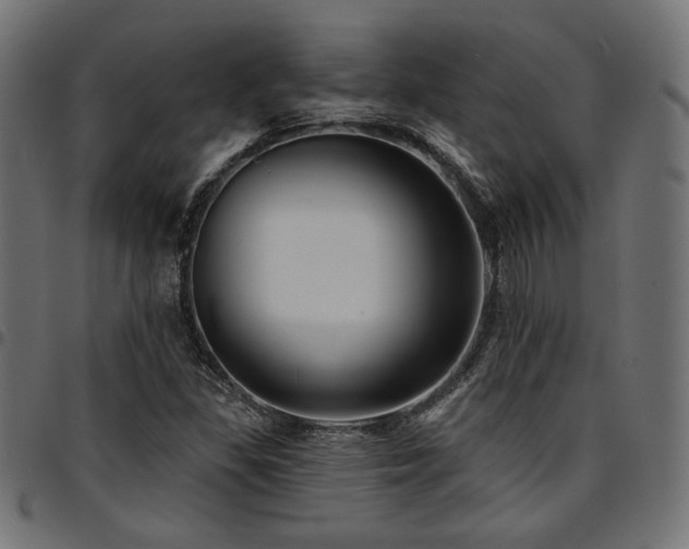 X0000095531309200712141453