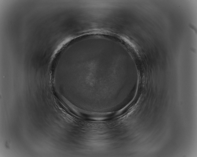 X0000095531310200712141453