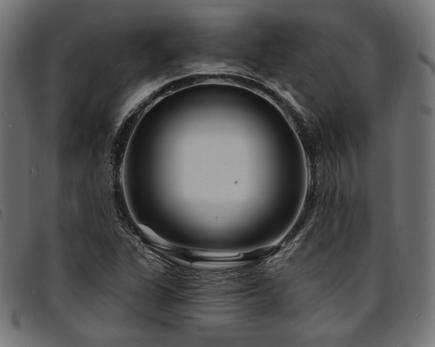 X0000095531311200712141453