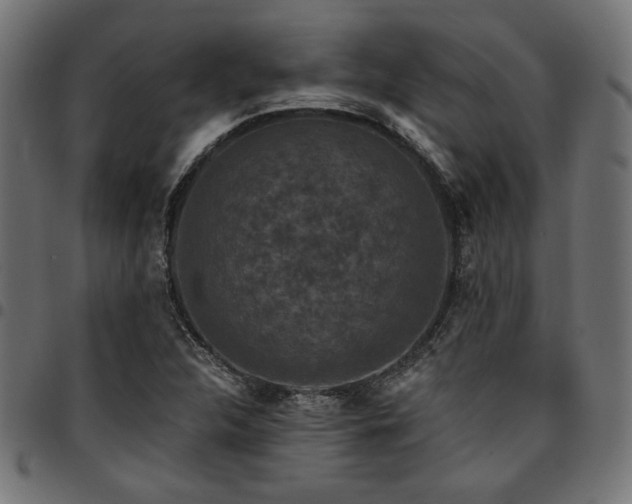 X0000095531312200712141453