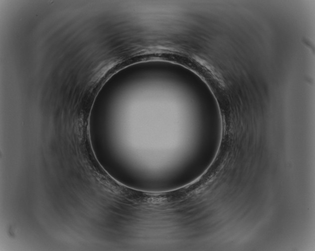 X0000095531313200712141453