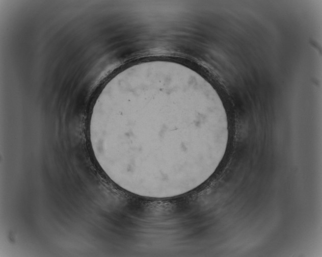 X0000095531314200712141453