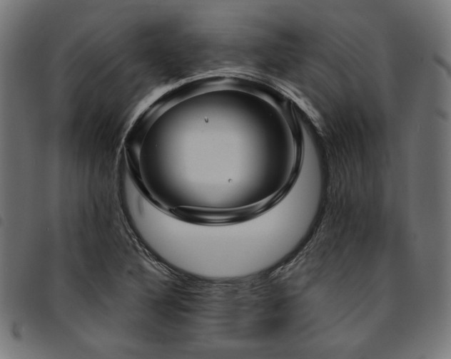 X0000095531316200712141453