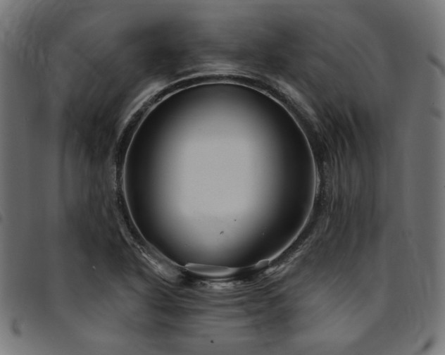 X0000095531318200712141454