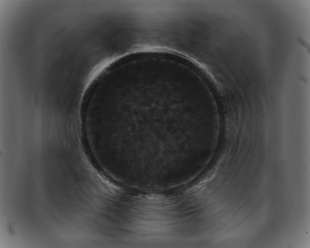 X0000095531319200712141454