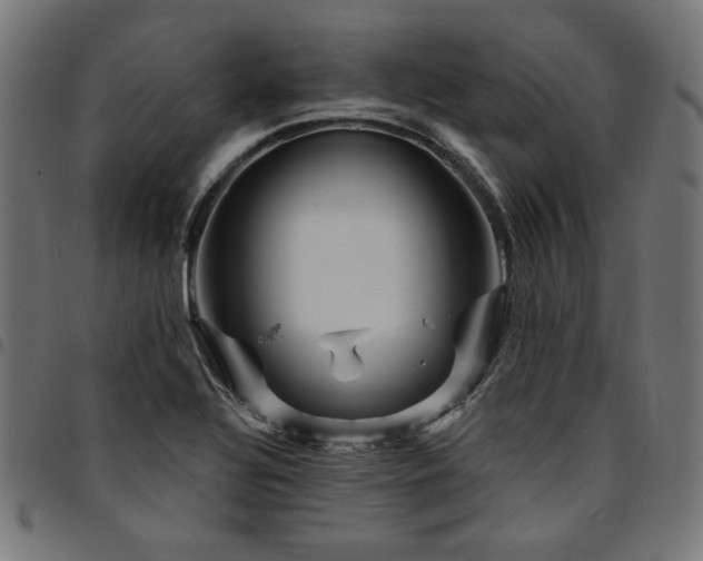 X0000095531320200712141454