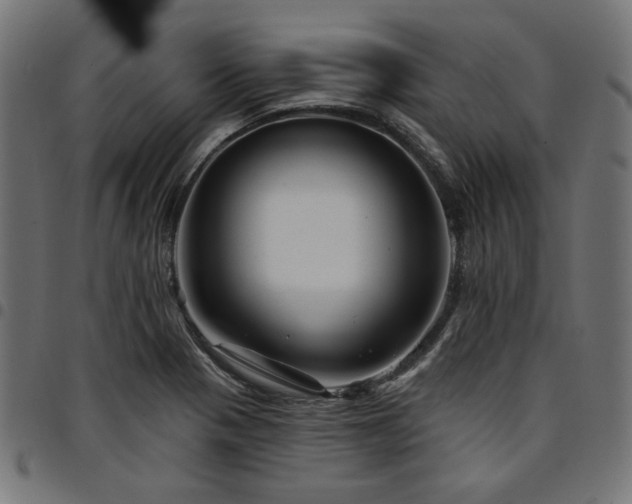 X0000095531321200712141454