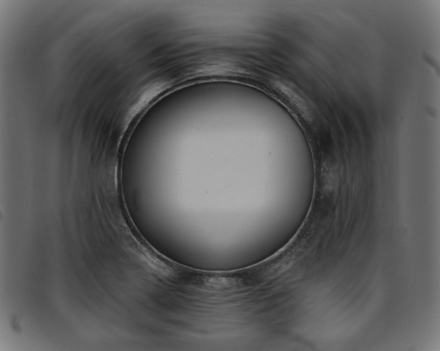 X0000095531322200712141454