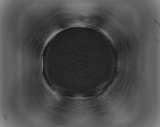 X0000095531323200712141454