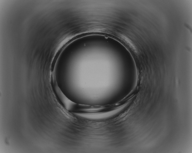 X0000095531324200712141454
