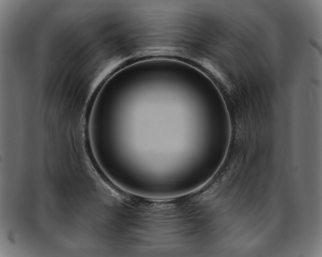 X0000095531325200712141454