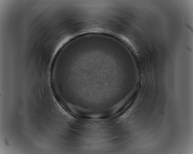 X0000095531326200712141454