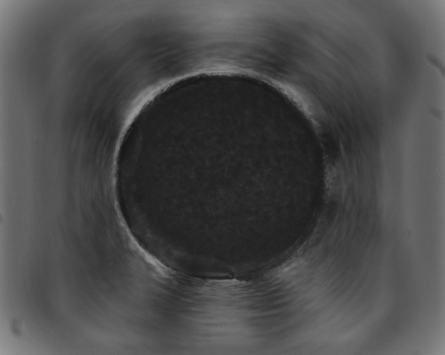 X0000095531327200712141454