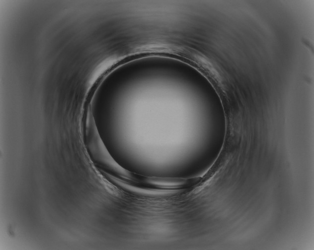 X0000095531328200712141454