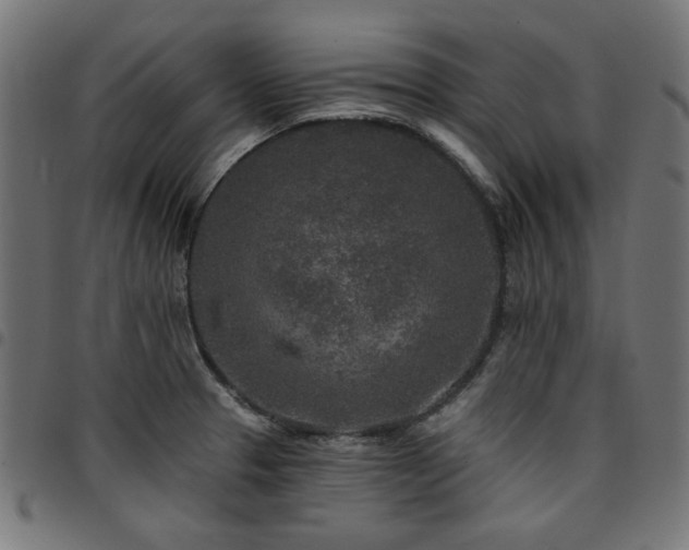 X0000095531329200712141454