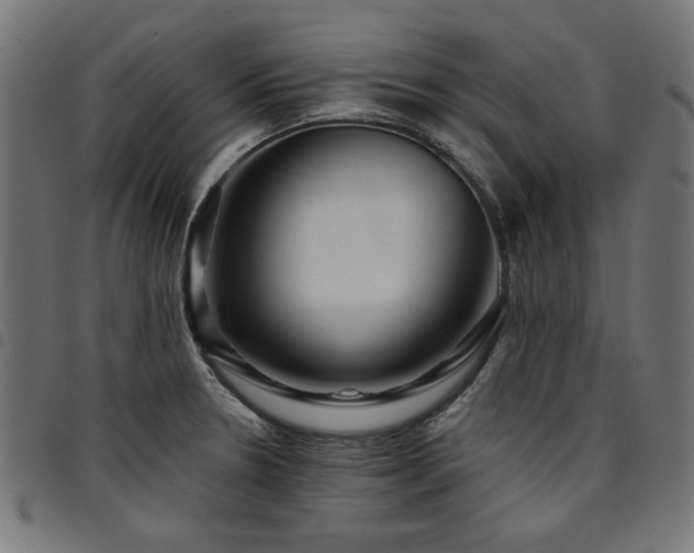 X0000095531330200712141454