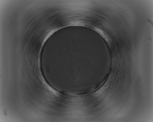 X0000095531331200712141454