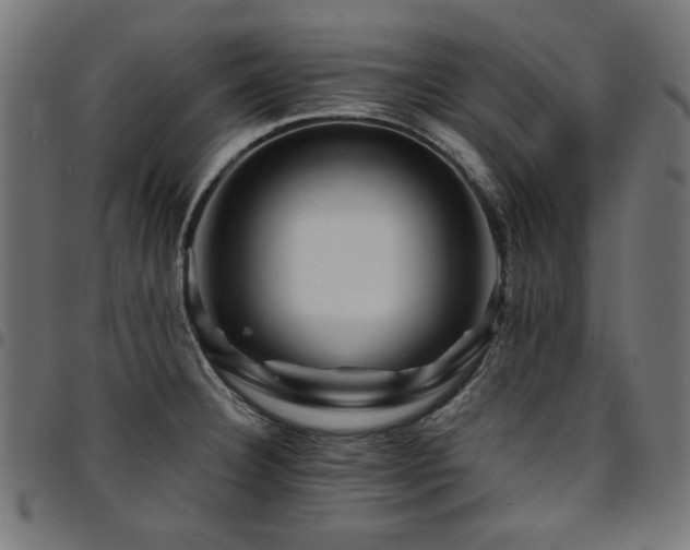 X0000095531332200712141454