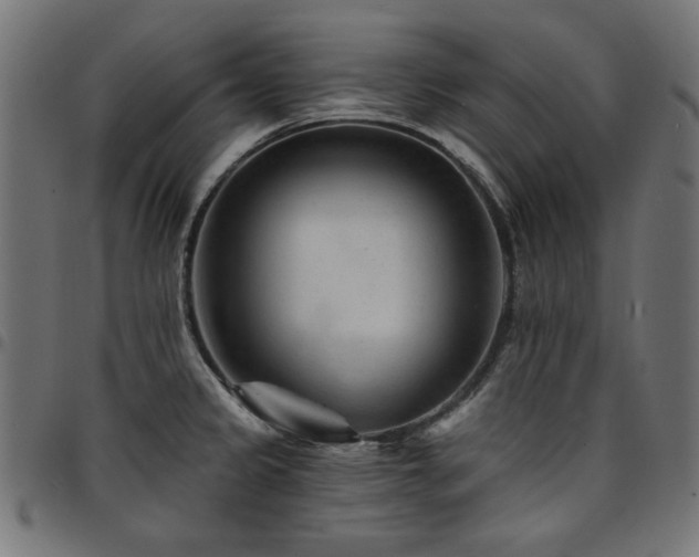 X0000095531333200712141454