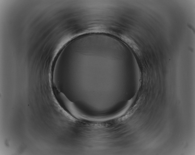 X0000095531334200712141454