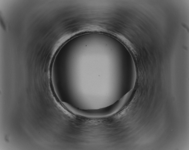 X0000095531335200712141454