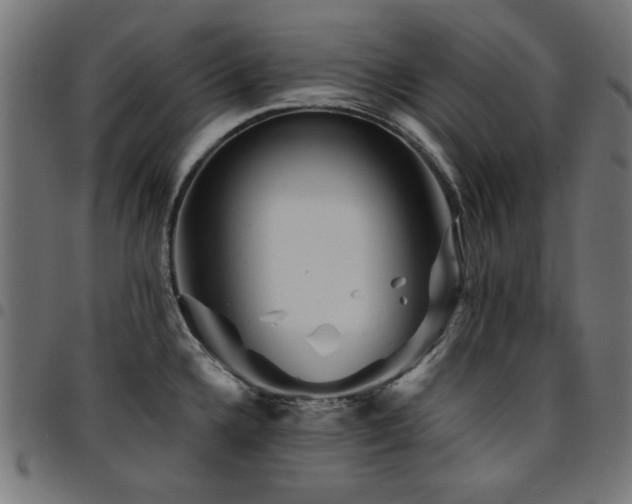 X0000095531336200712141454