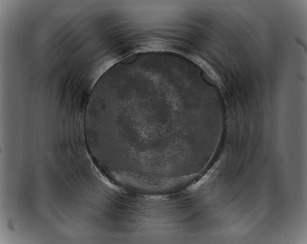 X0000095531337200712141454