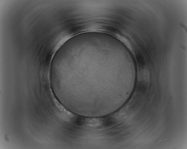 X0000095531338200712141454