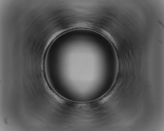 X0000095531339200712141454