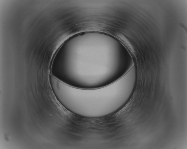 X0000095531340200712141454