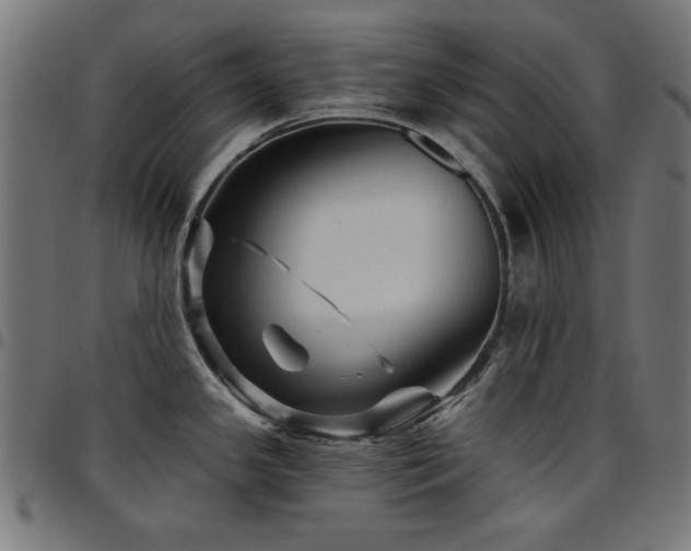 X0000095531341200712141454