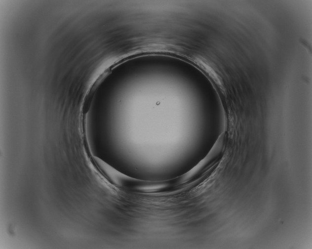 X0000095531342200712141454