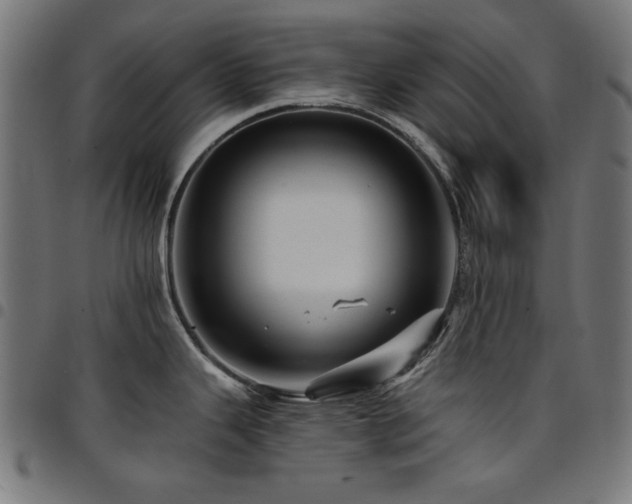 X0000095531343200712141454