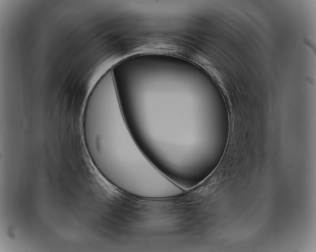 X0000095531344200712141454