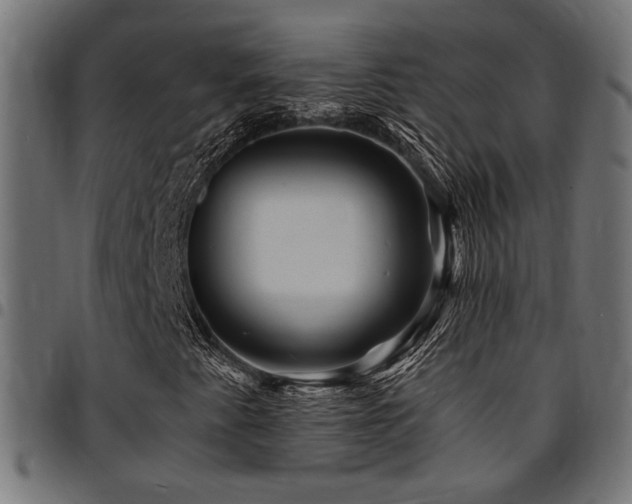 X0000095531345200712141453