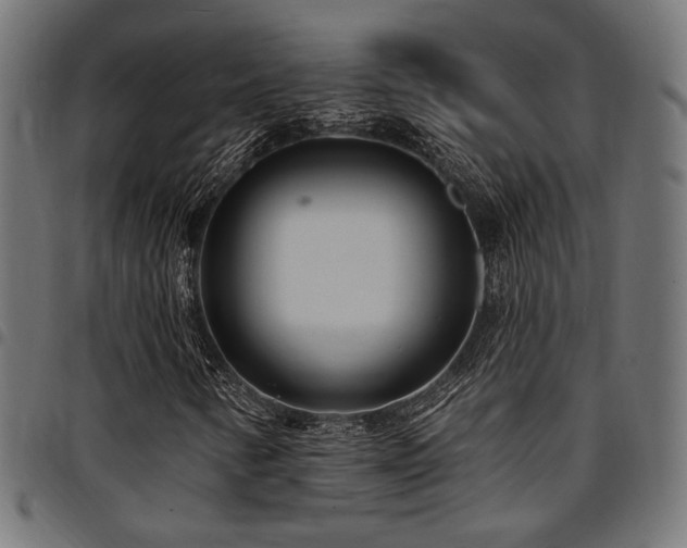 X0000095531346200712141453