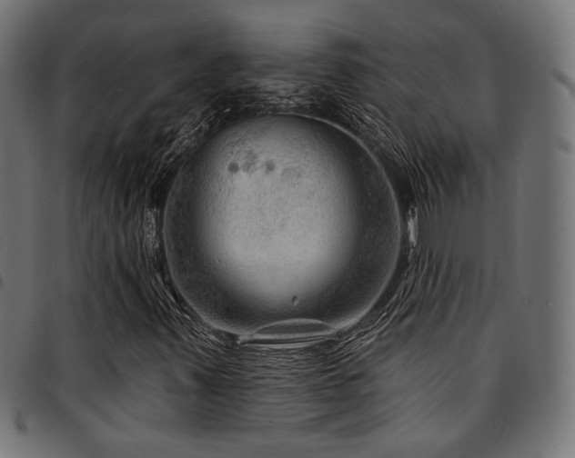X0000095531347200712141453