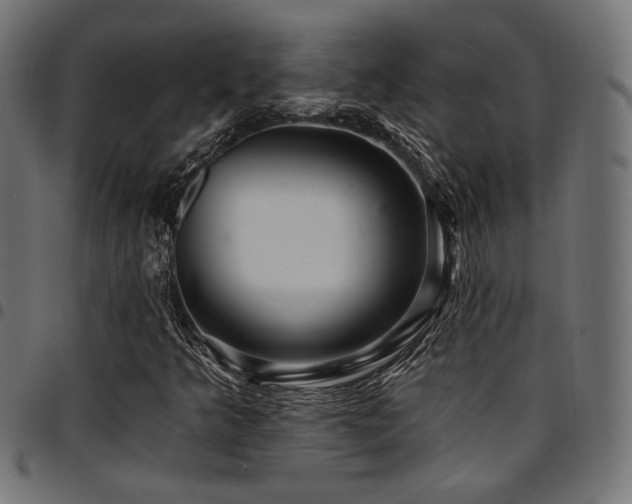 X0000095531349200712141453