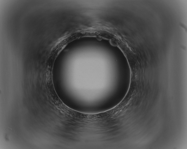 X0000095531350200712141453