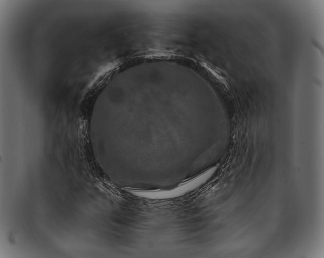 X0000095531351200712141453
