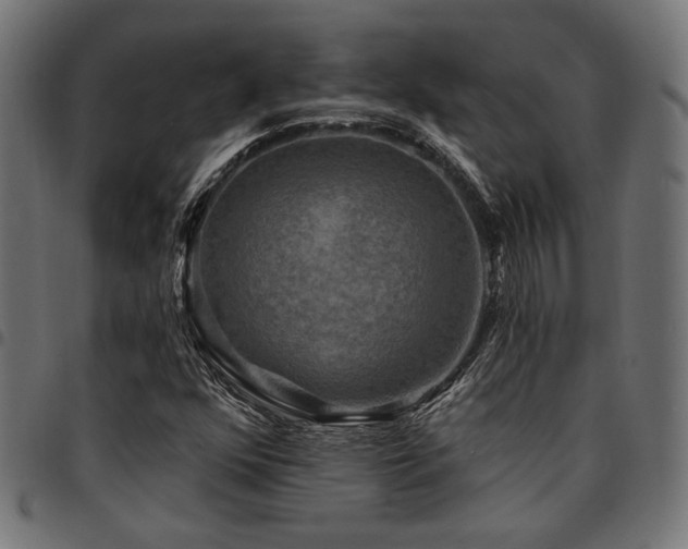 X0000095531352200712141453