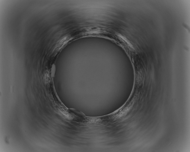 X0000095531353200712141453