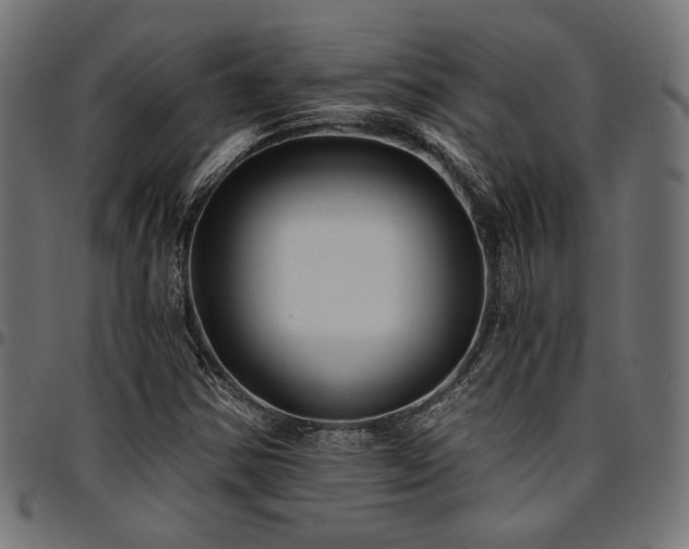 X0000095531354200712141453