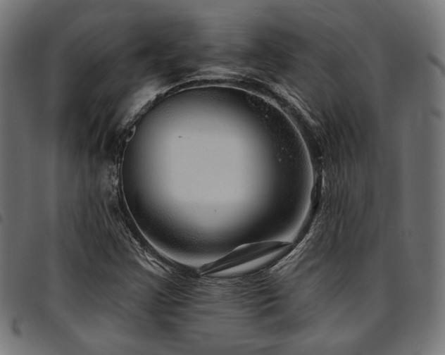 X0000095531355200712141453