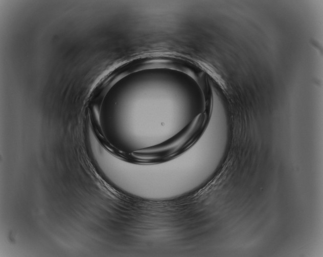 X0000095531356200712141453