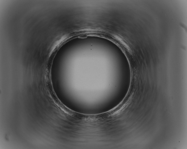 X0000095531357200712141453