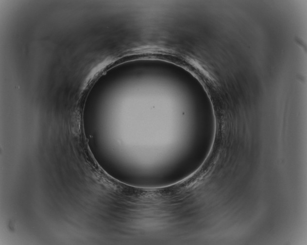 X0000095531358200712141453
