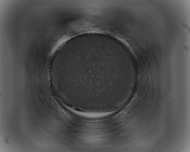 X0000095531359200712141453